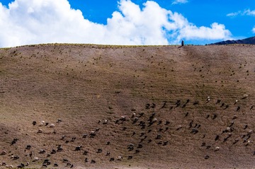 conew_dsc_0555