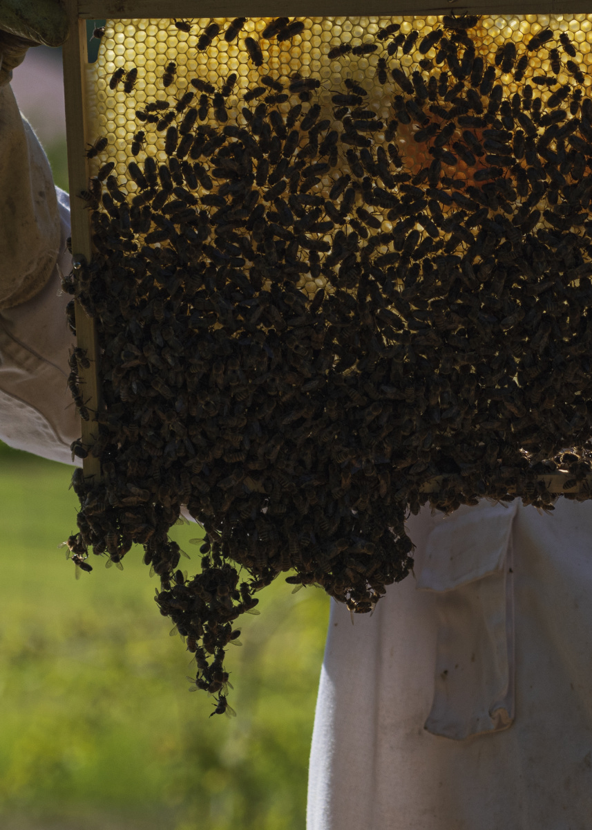 偶遇的抽烟老人世界唯一的白菜关注