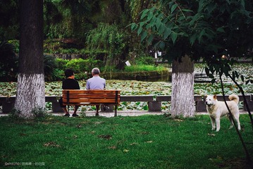 20130528-IMGP0886_
