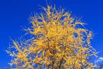20121027-IMGP7783_