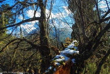 20121027-IMGP7785_