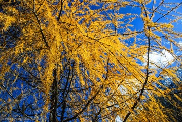 20121027-IMGP7786_