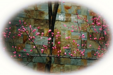 20140218-IMGP4962_