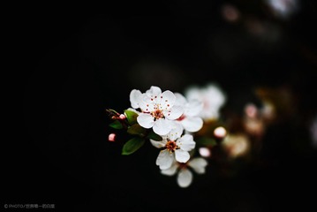 20140310-IMGP5414_