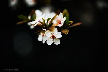 20140310-IMGP5415_