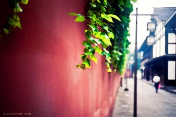 20110905-Untitled-9_