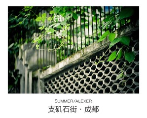 p20120806-IMGP6543