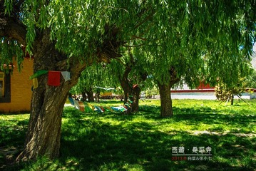 20130611-IMGP1441_