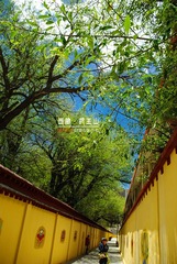 20130609-IMGP1148_