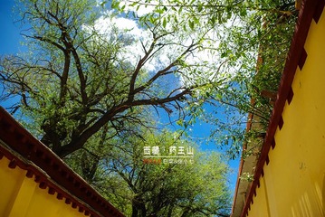 20130609-IMGP1149_