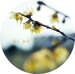 蚕月，胧黄