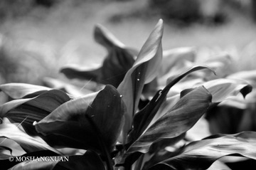20120126-_CSC1093.jpg