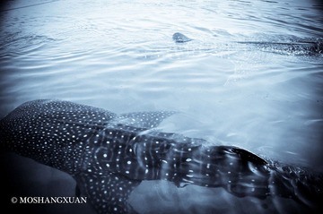 20120127-_DSC1199.jpg