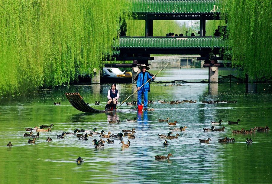 《休闲乡村》<br />
摄于浙江奉化滕头村,人与自然和谐图景