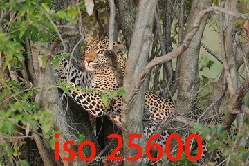 _PC_0382k (1)