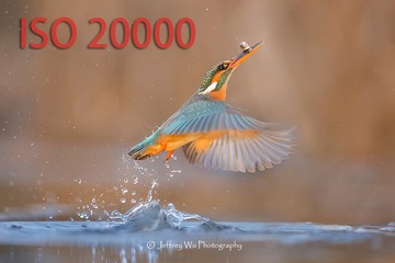 _PC_8440aaa (2) - 