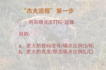 1s1a6842
