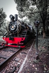 519294