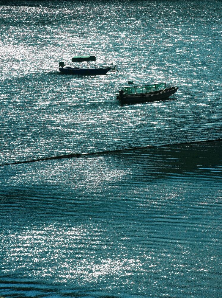 摄于浙江宁海白溪水库
