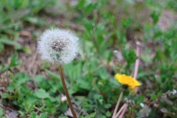 IMG_8589