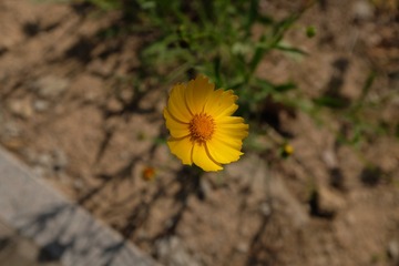 1E7AD535-1F05-423A-9465-A6E9785E34B6/L0/001