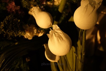 DSCF3064