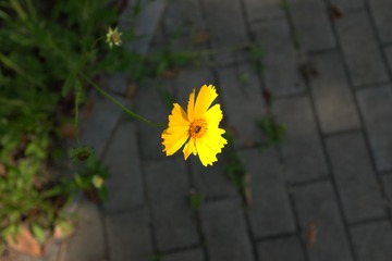 95B82858-F3D5-4578-BFD8-78EF4BF2C898/L0/001