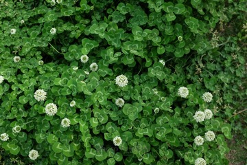 DSCF3642