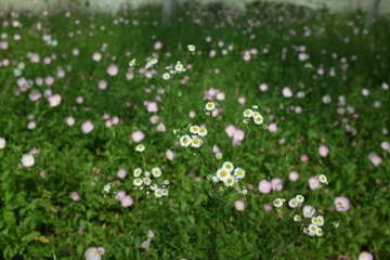 5CB48989-DB89-4DF0-A983-70AC3FBD1297/L0/001