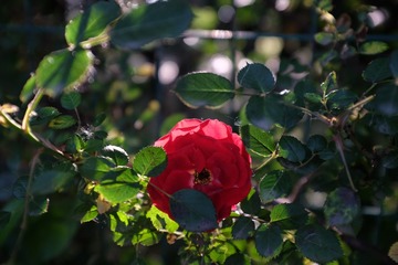 18497EFE-2CEB-4000-9D36-A3AD59DBE6E9/L0/001