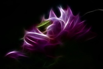 _DS_1864-publish(荷韵).jpg