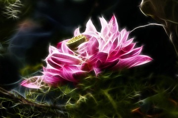 _DS_1800-publish(荷韵).jpg