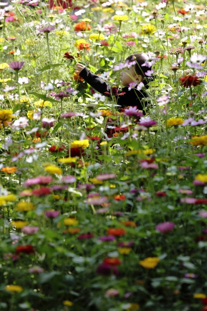 繁花童年