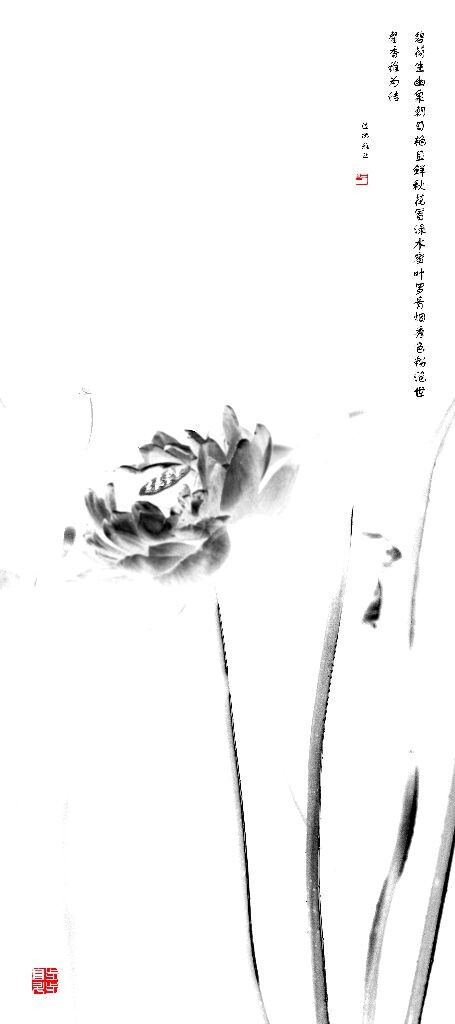 水墨荷韵<br />

