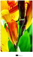 0707B90D-6FC0-4EC7-994D-CBDB57DAADA6/L0/001