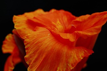 IMG_9752_1.jpg