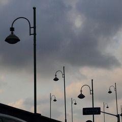 IMG_0461.jpg