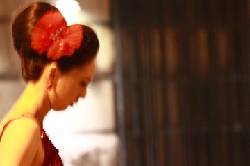 IMG_1288.jpg