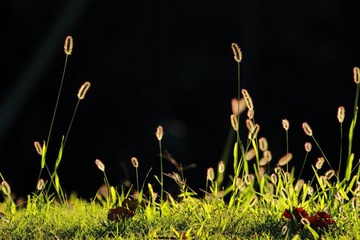 IMG_0846.jpg