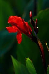IMG_0852.jpg