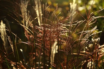 IMG_0856.jpg