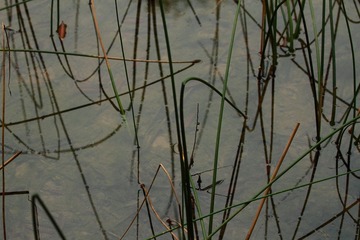 IMG_0892.jpg