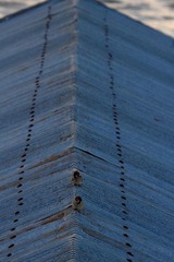 IMG_4341.jpg