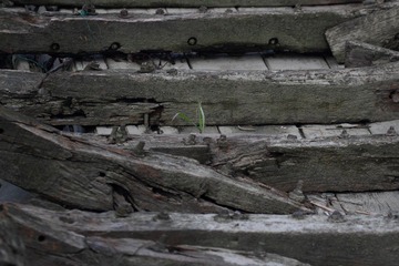 IMG_6432.JPG