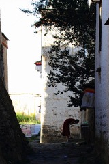 IMG_7083.jpg
