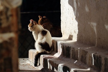 IMG_7092.jpg