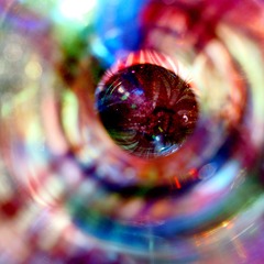 _DSC0295