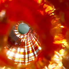 _DSC0292