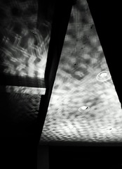_DSC0323