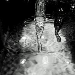 _DSC0337